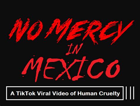 no mercy in méxico|no mercy mexico kill.